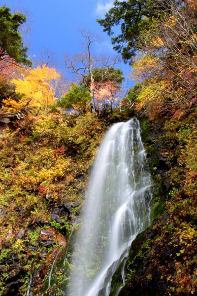 ◆紅葉人気エリア2年連続1位だぞ - 錦秋の磐梯吾妻(幕滝編)