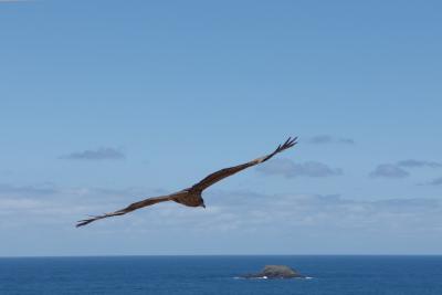 343 快晴の鳥取砂丘