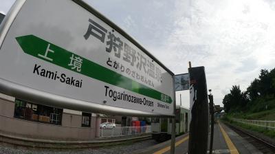 「北海道・東日本パス」で新潟県(JR東)をひたすら乗りつぶす。【第６部　最終章。新潟県内JR線完乗！　のハズだったが・・・】