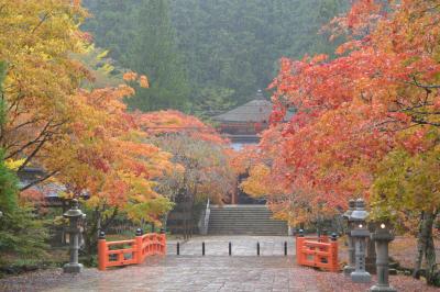 ２０１７年１０月　神聖な雰囲気に包まれて～初めての高野山～