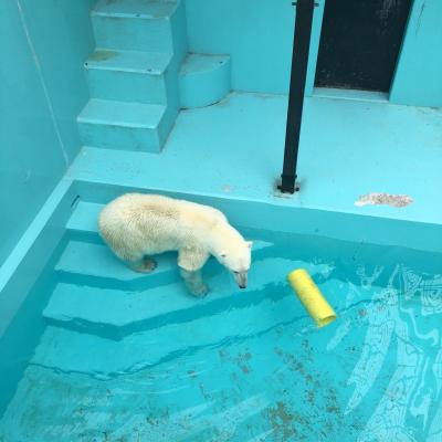 おびひろの夏旅