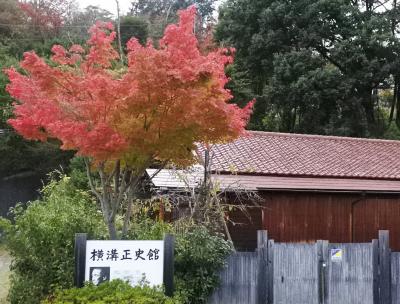 フルーツの丘の紅葉がいい感じで進んでいる（10月24日・2-2）