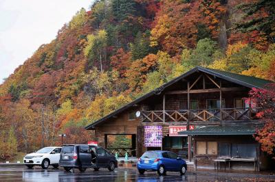 バーニーと行く北海道　５　家に帰ろう・・・と思ったりする。