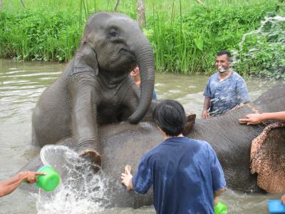 チェンマイ2人旅【1】