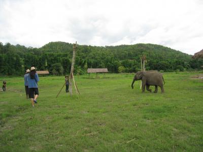 チェンマイ2人旅【2】