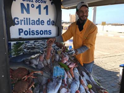 エッサウイラ(Essaouira:Morocco)「海辺の街でシーフードを」