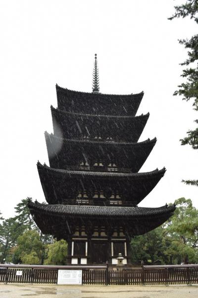 秋の大阪、奈良～季節外れの台風その2