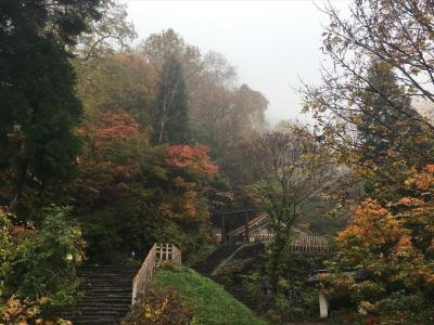 2017年10月　戸隠神社、奥裾野自然園の紅葉を見に行ってきました。