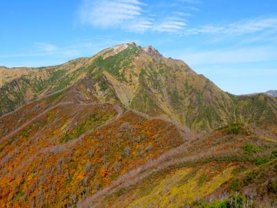 【紅葉】　今年の紅葉は、台風一過、天候不順でドキドキ　♪♪