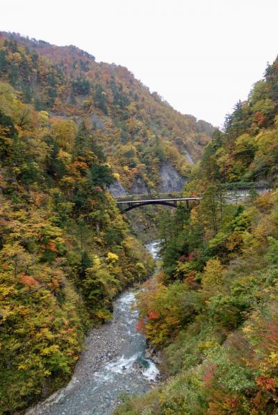 紅葉のホワイトロードドライブと白川郷散策2017