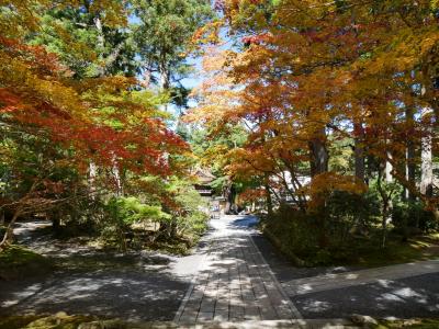 October 2017 奈良・高野山旅行記@2日目 ～高野山＆思いがけない紅葉狩り～