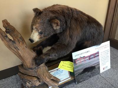 道の駅巡り-北海道-(2日目ちょっと寄り道)