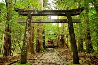 長月 夏から秋へー2 　のんびり・まったり日光一人旅をのつもりが・・・ なんやかんやで てんやわんや(´▽｀) 中禅寺・二荒山神社中宮詞・菖蒲ヶ浜・滝尾神社