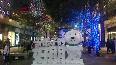 気ままに観光vol.18   台湾で年越し2016-2017　その1