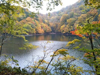 2017年 最大級台風一過の『白神山地・不老不死温泉』