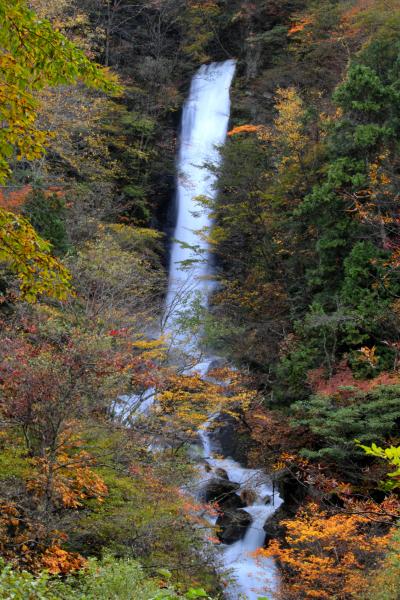 ◆台風２１号襲来翌日の紅葉狩り/会津下郷・日暮の滝