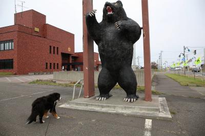 バーニーと行く北海道　７　最終回・面白写真