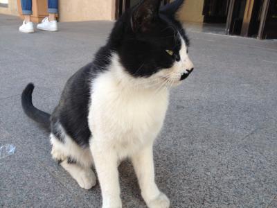 ヤルダンの奇石ツアー