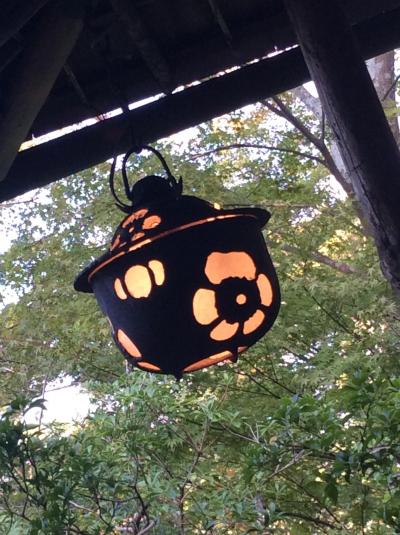 奈良のんびり街歩き！。