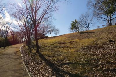 鳥獣センターでバードウォッチング [2016](1)