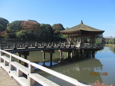 正倉院展からの奈良公園ひとめぐり