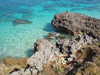 LCC利用　1歳児と冬の沖縄旅行