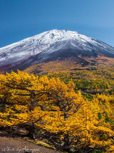 2017年山中湖ロッジ滞在記（８）　富士山五合目で２回のフォトハイキング　～中一日で夏富士から冬富士に激変～