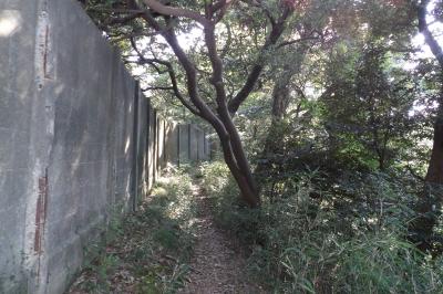 十二所果樹園から久木大池－塀沿いのハイキングコース