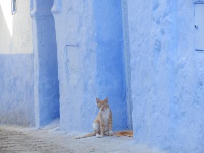 モロッコの青い街　シャウエンぶらり旅