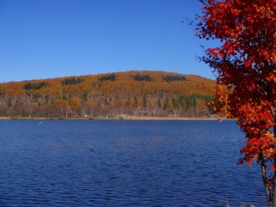 秋晴れの中、女神湖から白樺湖へ！
