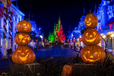 2017　WDWハロウィンを楽しむ旅≪準備・出国≫