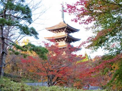 晴れおじさん「ちょっとそこまで」お出掛け日記(定義如来)