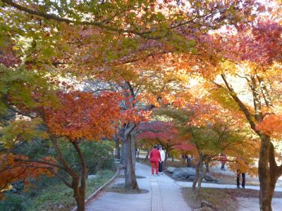 2017秋　韓国 - １　全羅北道【ネジャンサ（内蔵寺）】の紅葉