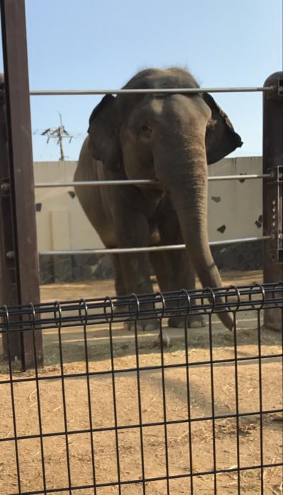 徳山動物園