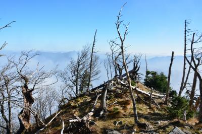 世界遺産を歩く！近畿最高峰 大峰山(八経ヶ岳) 日帰り登山【行者還トンネル西口から】