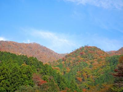 紅葉がはじまったばかりの鍋割山の頂上で、鍋焼きうどんを食す！