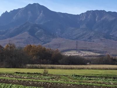 三度目の野辺山