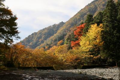 秋だ！紅葉だ！鍋割山登山だー！の巻