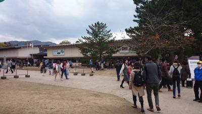秋の奈良～正倉院展、その後社会人野球観戦