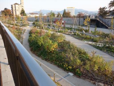 2017年　10月　滋賀県　草津市　草津市立草津川跡地公園