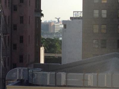 一度も海に行かなかったマイアミ出張