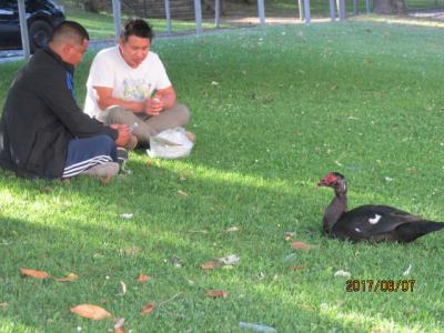 イベリア周遊の旅（６５）先刻のカフェーに戻る。