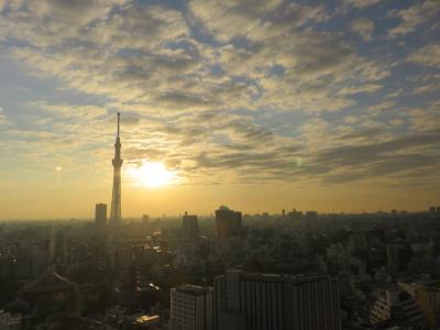 母専属添乗員 東京１泊孝行旅行