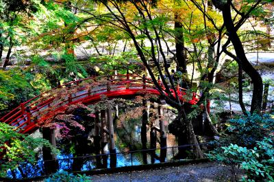 世羅・今高野山龍華寺を訪ねて・・・