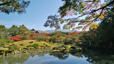 依水園は少し色づき始めて