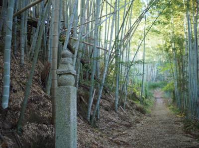 願掛けに行って参りました。