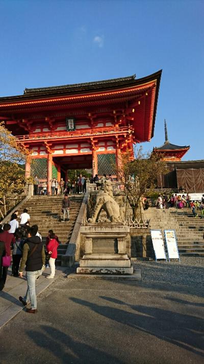 1泊2日の秋の京都旅行（京都市内と宇治市）