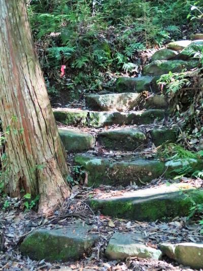熊野古道-2　滝尻王子　中辺路を歩き始め　☆苔付き石段の坂を上って