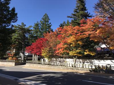 高野山でひとり宿坊体験