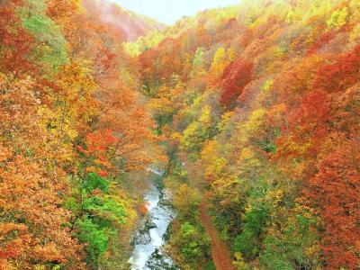 2017見納め紅葉　浄土平と裏磐梯（火山と紅葉）